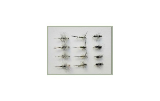 12 Dry Flies Griffiths Gnat Grey Greenwell & Grizzly