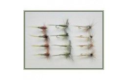 12 Dry Flies Hatching Olive Olive Dun & Kites Imperial