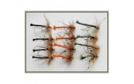 12 Goldhead Daddy Long Legs Detached Coloured