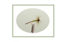 Greenwell Glory Hackled Dry