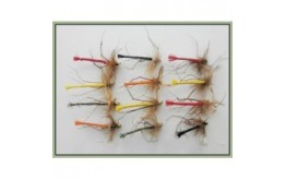12 Goldhead Detached Coloured Daddy Long Legs