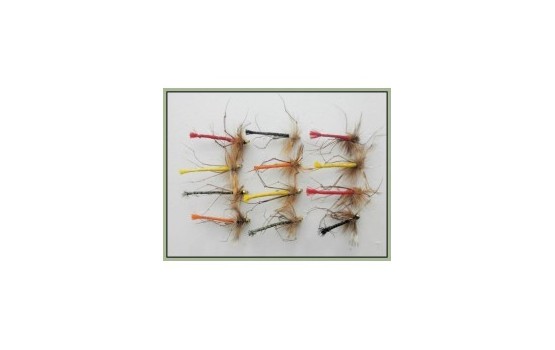 12 Goldhead Detached Coloured Daddy Long Legs
