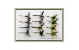 12 Grey and Olive Wulff