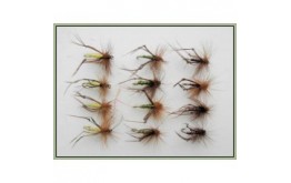 12 Hoppers   Claret Olive & Yellow