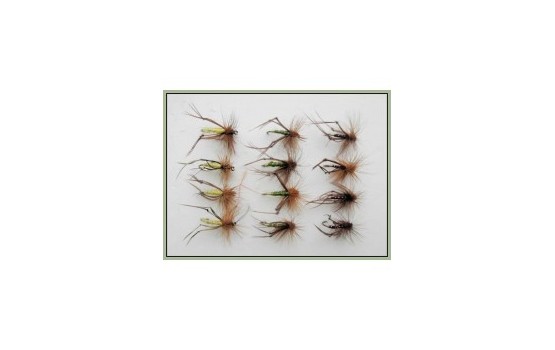 12 Hoppers   Claret Olive & Yellow