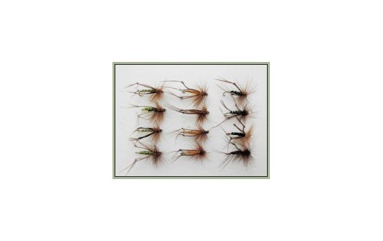 12 Hoppers Black Brown & Olive
