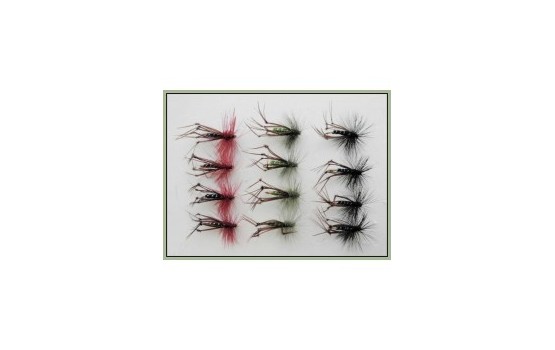 12 Hoppers Coloured Hackles