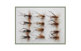 12 Hoppers Orange Brown & Black