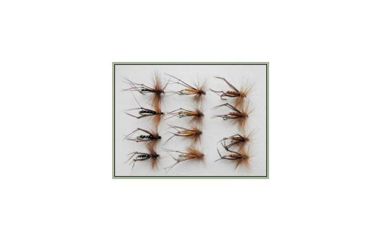 12 Hoppers Orange Brown & Black