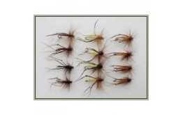 12 Hoppers Orange Claret & Yellow