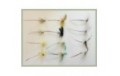 12 Mayflies inc French Partridge and Parachute