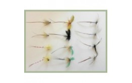 12 Mayflies inc French Partridge and Parachute