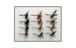 12 Mixed Colour Humpy