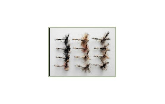 12 Mixed Colour Humpy