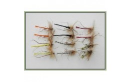 12 Mixed Coloured Daddy Long Legs
