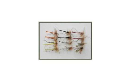 12 Mixed Coloured Daddy Long Legs