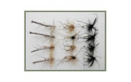 12 Mixed Daddys Detached Black & Standard