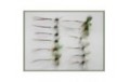 12 Mixed Mayflies