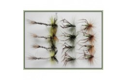 12 Mixed Olive Hoppers