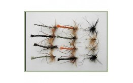 12 Mixed Pattern Daddys