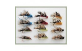 12 Mixed Sedgehogs AKA Halfhogs