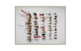 12 Random Dry Flies