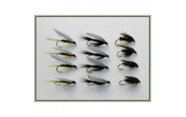 12 Wet Flies   Black Gnat Alder & Medium Olive