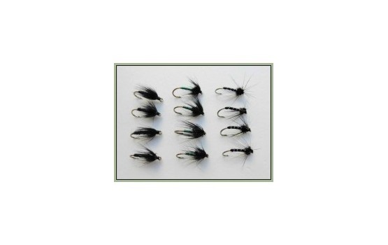 12 Wet Flies   Black Spider Black Magic & Pearl Lurex