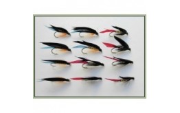 12 Wet Flies   Butchers Gold and Kingfisher