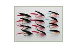12 Wet Flies   Butchers Gold Bloody & Kingfisher