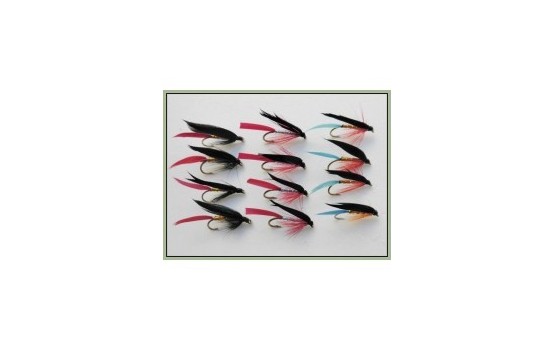 12 Wet Flies   Butchers Gold Bloody & Kingfisher