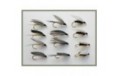 12 Wet Flies   Coachman Iron Blue & Grey Monkey