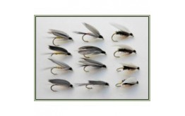 12 Wet Flies   Coachman Iron Blue & Grey Monkey