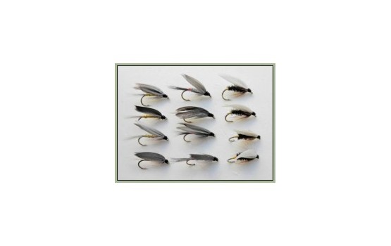 12 Wet Flies   Coachman Iron Blue & Grey Monkey