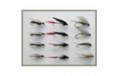 12 Wet Flies   Coachman