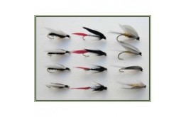 12 Wet Flies   Coachman