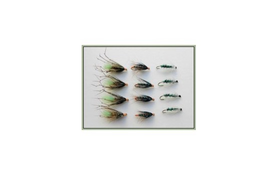 12 Wet Flies   Green Peter Gorgeous George & Insect Green
