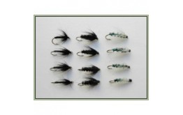 12 Wet Flies   Insect Green Black & Peacock Black Spider