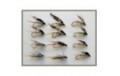 12 Wet Flies   Invicta Silver Pearl and Standard