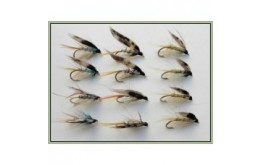 12 Wet Flies   Invicta Silver Pearl and Standard