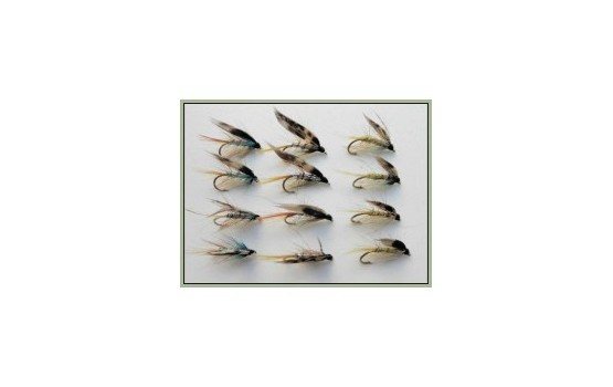 12 Wet Flies   Invicta Silver Pearl and Standard