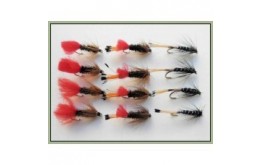 12 Wet Flies   Ke he Red tag & Black Pennell