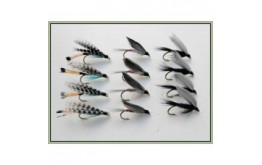12 Wet Flies   Teal Blue Iron Blue Black Gnat