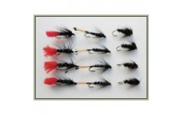 12 Wet Flies   Zulu Black & Peacock & Black Pennell