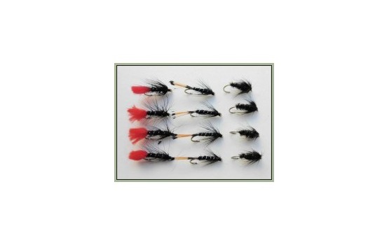 12 Wet Flies   Zulu Black & Peacock & Black Pennell