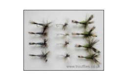 12 Wulff   Grey White and Olive