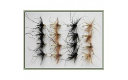 16 Black and Natural Daddies