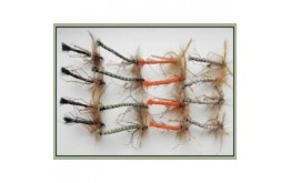 16 Detached Daddy Long Legs