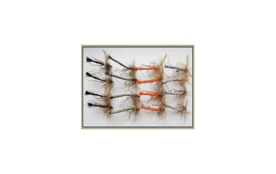 16 Detached Daddy Long Legs