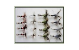 16 Mixed Colour Wulff